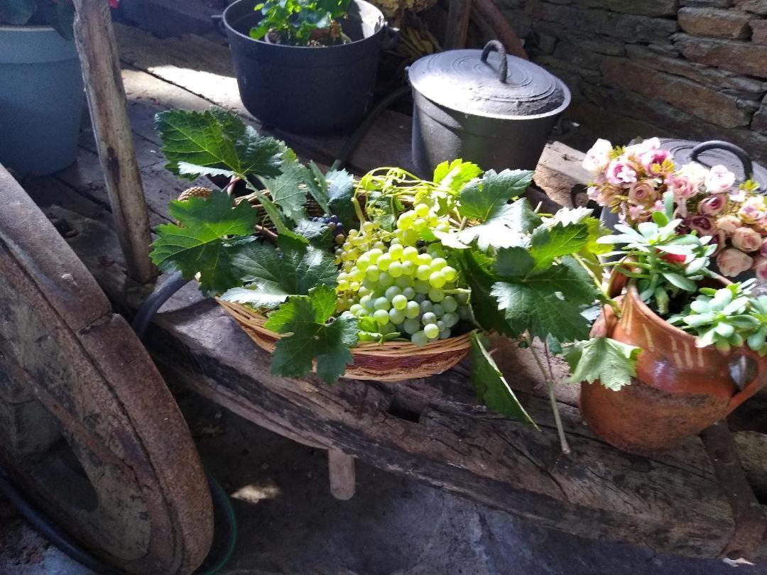 Santa María Ribera Sacraヴィラ エクステリア 写真